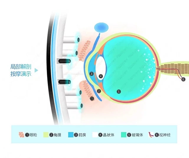 看球直播免费在线观看